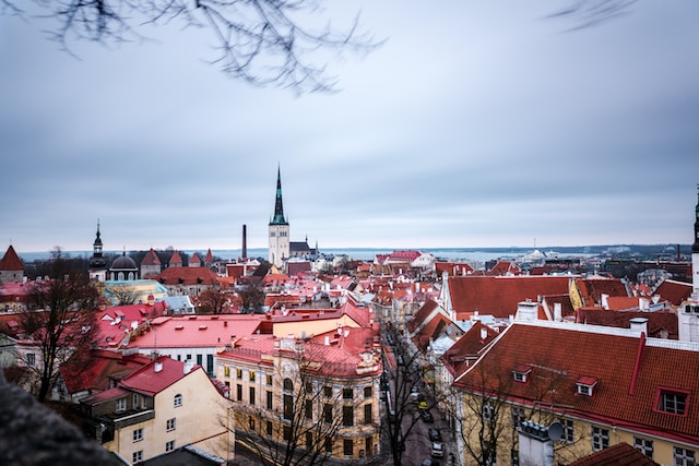 Эстония в лидерах по электронным визам в Россию