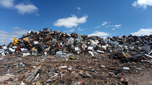 Мощностей мусорных полигонов Калининградской области хватит только до конца 2024 года
